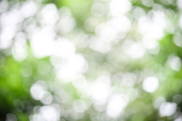 Obraz premium Abstract green bokeh light background on nature, defocus blurred green leaf background under sunlight