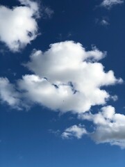 clouds in the sky