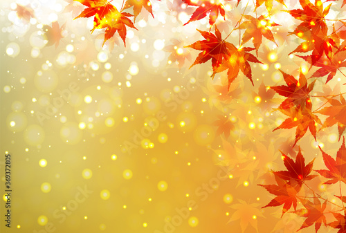 紅葉 もみじ 秋 背景 Wall Mural Wallpaper Murals J Boy