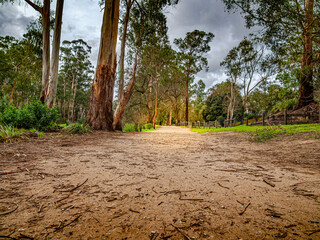 Wide Path