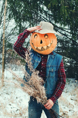 Halloween Scarecrow with a pumpkin on his head and a bouquet in his hands wanders through the fores