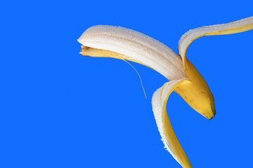 A top view image of a half peeled banana on a bright blue background. 