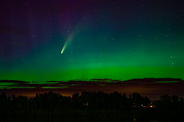 Naklejka premium Neowise and Aurora