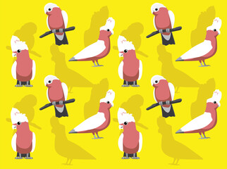 Animal Australian Galah Parrot Cockatoo Cute Cartoon Background Wallpaper-01