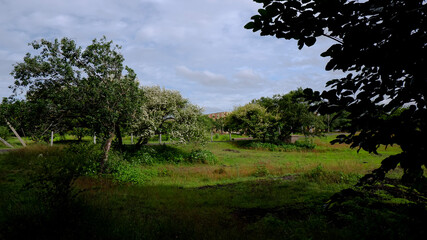 dramatic view of light & shadow in nature