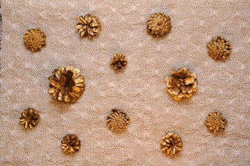 Delicate warm background of pine gilded cones on knitted patterned down canvas.