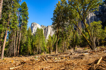 Scenic view of the Yosemite Valley