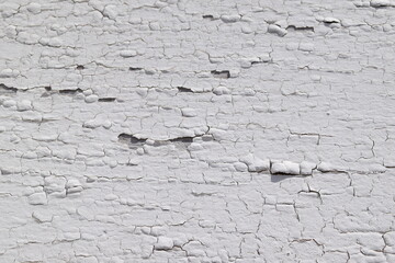 ひび割れた白いペンキ