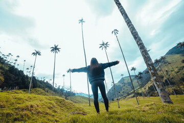 Montaña valle del Cocora Salento Quindio Colombia	