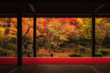 秋の京都（圓光寺・十牛之庭）