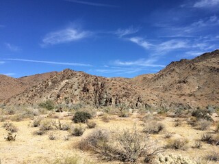 Joshua Tree National Park
