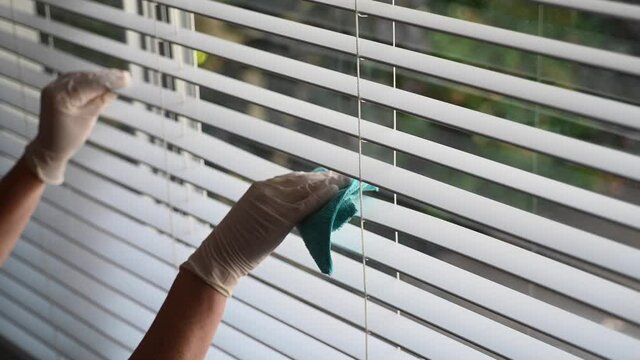 Above view of cleaner removing dust from Venetian window blinds