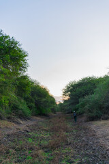 persona al costado de pequeña laguna seca