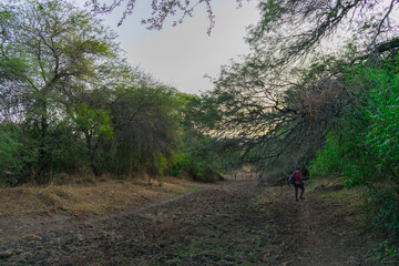 Obraz premium persona al costado de pequeña laguna seca