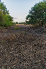 pequeña laguna de campo totalmente seca por la sequía