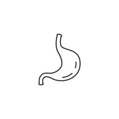 Stomach stock illustration