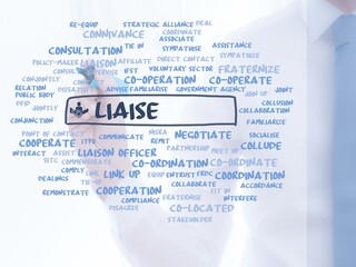 liaise