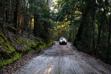 Off road vehicle in rainforest