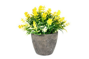 Yellow artifial flowers in clay flowerpot isolated on white background. Small yellow flower with leaves in stone flower pot isolated