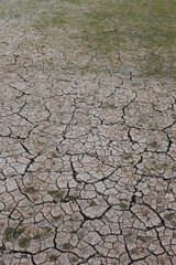 罅割れた地面
