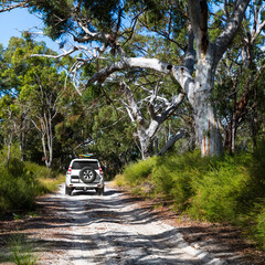 Obraz na płótnie Canvas Off road vehicle driving through Fraser Island