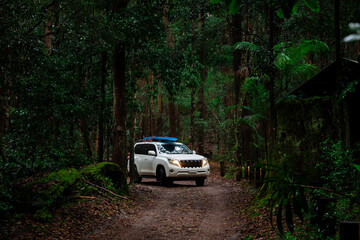 Plakat Off road vehicle in rainforest