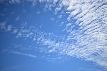 Fototapeta premium blue sky with clouds