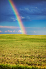 Naklejka premium rainbow over green field