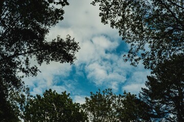 sky and clouds
