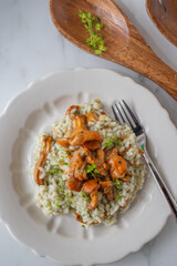 home made Risotto with chanterelle mushrooms and herbs