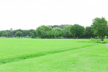 公園