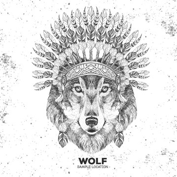 Hipster animal wolf with indian feather headdress. Hand drawing Muzzle of animal wolf