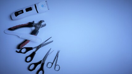 The clippers ,comb and scissor for groom our dogs.  We have to adapt to the new normal because we may have to trim dog’s  hair by ourselves.