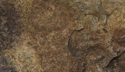 stone wall texture