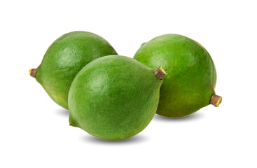 macadamia nuts with leaf isolated on white background.
