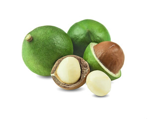 macadamia nuts with leaf isolated on white background.