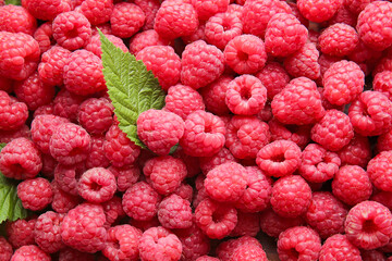 Tasty ripe raspberries as background