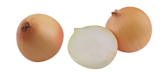 Fresh yellow onion bulbs isolated on white background.Ripe onion Collection Clipping Path. 

Professional studio macro shooting, close up shot. 