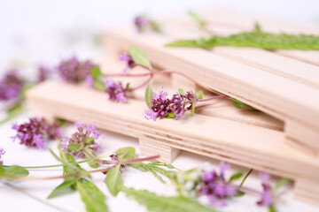 thyme soft focus. purple flowers of Thyme in forest.on white background.on a wooden background....