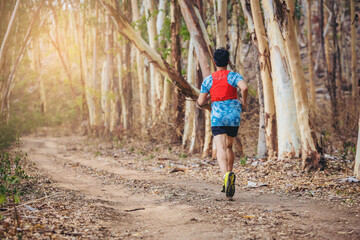 Young man runner running trail in to a wild dry forest during summer on forest path.