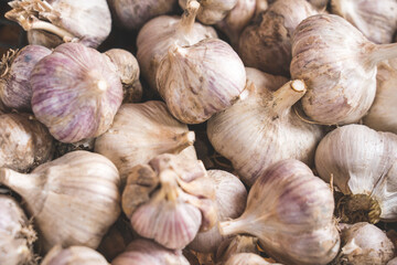 garlic heads close-up