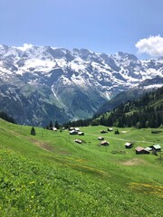 Fototapeta na wymiar Village in the alps