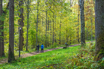 People walking on a path in a park