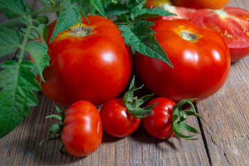 Red and large and cherry tomatoes on a wooden surface one cut with leaves tomato close-up shallow depth of field, selective focus