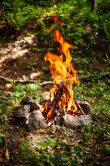 Campfire