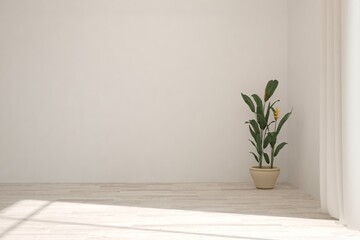 White minimalist empty room. Scandinavian interior design. 3D illustration