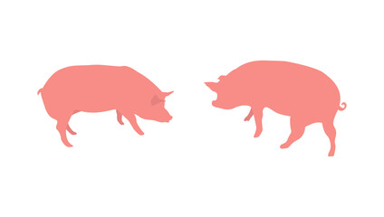 Vector isolated pig illustration. Domestic animal flat illustration