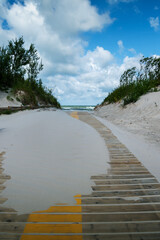 Dune path in a windy day.