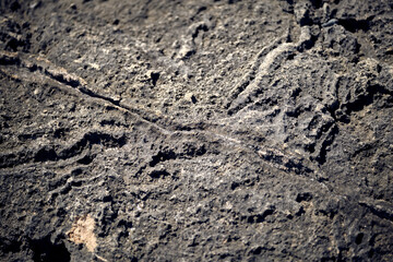 Roccia grigia, sfondo