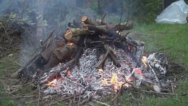 Osterfeuer im Garten. Kleiner Holzstamm wird mit einer Heugabel und mit Schwung auf die Feuerstelle geworfen. Glut, Feuer, Asche und Rauch steigt auf. Gr&uuml;ner Garten mit Lagerfeuer.